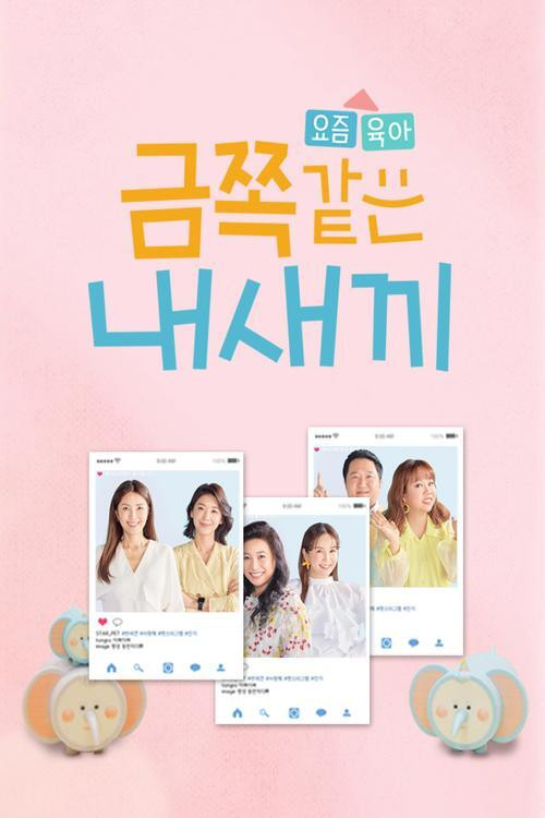 금쪽같은 내새끼